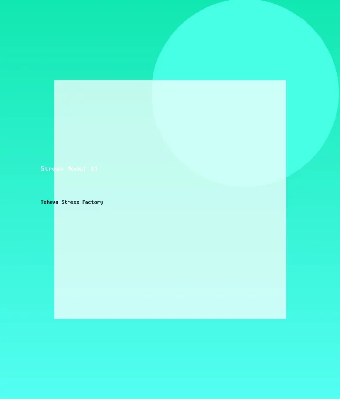 Stress Model 11