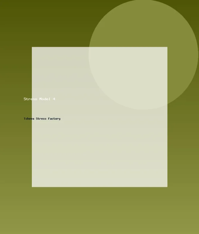 Stress Model 4
