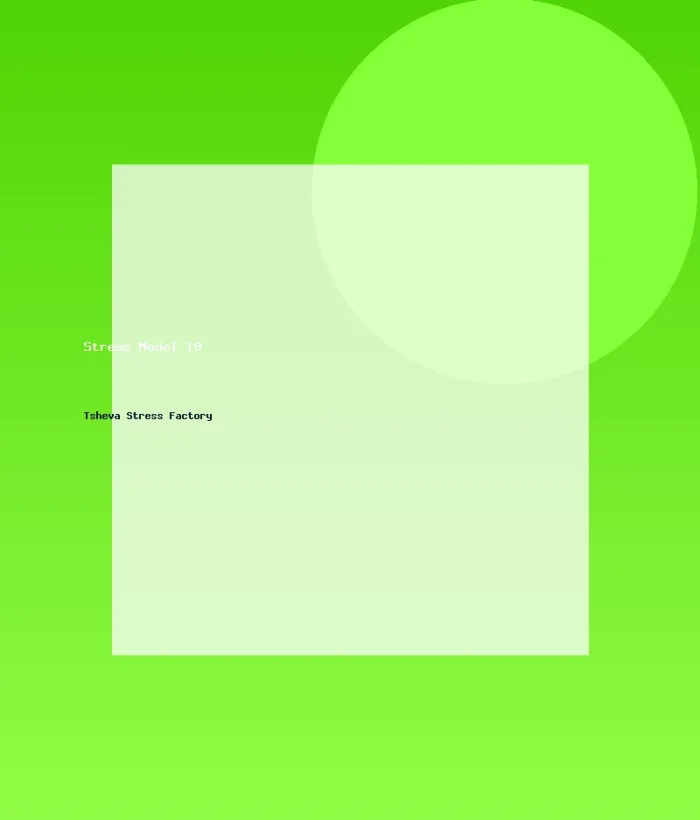 Stress Model 19