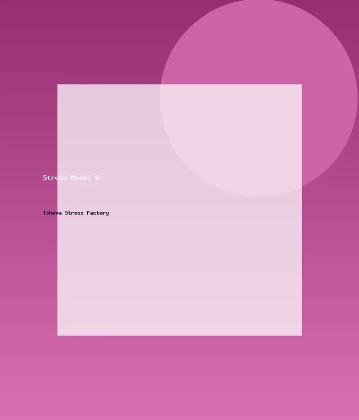 Stress Model 6