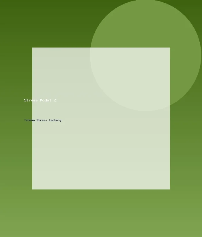 Stress Model 2