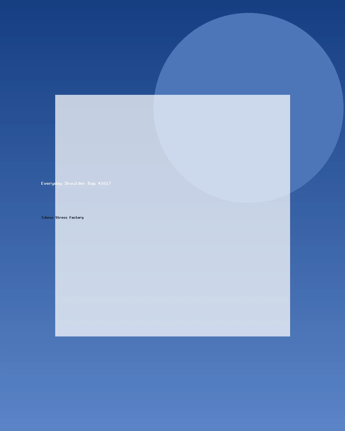 حقيبة كتف عملية #1617
