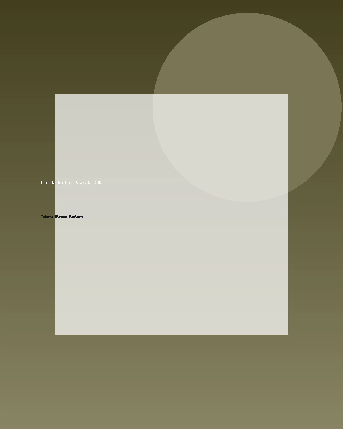 جاكيت خفيف للربيع #593